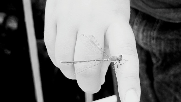 Рука вышивает тонкими нитями